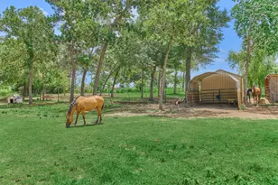 420 Ruel Rd, Magnolia, TX 77355 - Photo 38