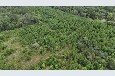 1378 N Duck Creek Road, Cleveland, TX 77328 - Photo 6