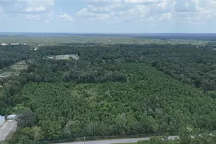 1378 N Duck Creek Rd, Cleveland, TX 77328 - Photo 4