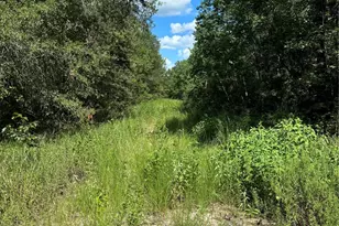 (43208) Wake Forest, Livingston, TX 77351 - Photo 1