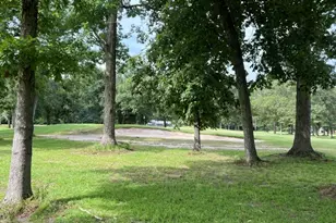 802 W Wildwood Dr, Village Mills, TX 77664 - Photo 2