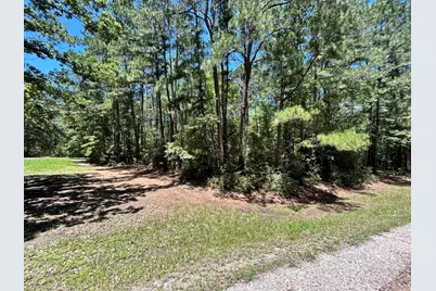 Lot 19 Bh Caroll Street, Trinity, TX 75862 - Photo 10
