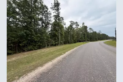 Tbd Texas Grand Road, Huntsville, TX 77340 - Photo 6