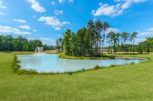 14668 Blackbrush Mnr, Magnolia, TX 77354 - Photo 42