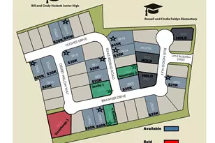 3803 Texas Redbud, Katy, TX 77493 - Photo 8