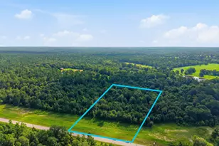14-30-68A Dipping Vat Rd, Huntsville, TX 77340 - Photo 1