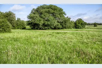 Tract 9 S Nassau Road, Round Top, TX 78954 - Photo 6