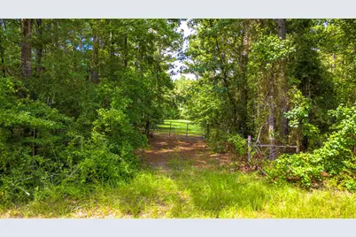 45 Acres Fm 229, Crockett, TX 75835 - Photo 10