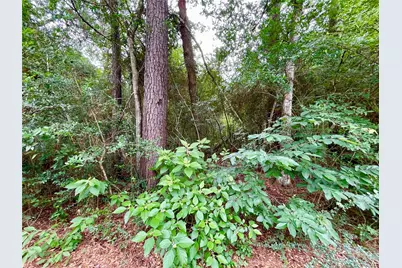 30803 Green Forest, Magnolia, TX 77354 - Photo 2
