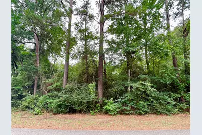 30803 Green Forest, Magnolia, TX 77354 - Photo 4