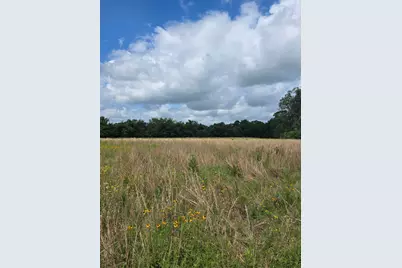 Tbd Lot 9 County Road 201, Plantersville, TX 77363 - Photo 4