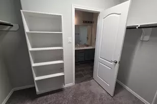 10401 Birch Peak Dr, Rosharon, TX 77583 - Photo 10