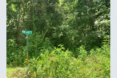 00000 Loblolly Circle, Dayton, TX 77535 - Photo 2