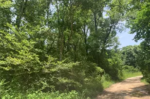 00000 Loblolly Circle, Dayton, TX 77535 - Photo 1
