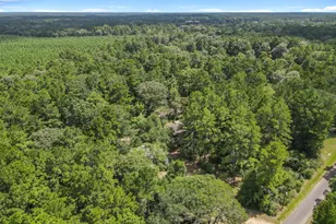 506 County Road 4580 S, Spurger, TX 77660 - Photo 30