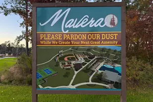 16306 Fontana Ct, Conroe, TX 77302 - Photo 32