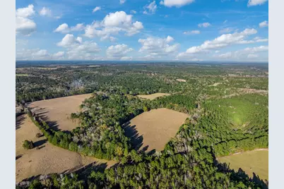 Tbd Anderson County Road 153, Palestine, TX 75801 - Photo 2