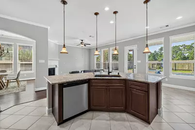 13407 Cameron Reach Drive, Tomball, TX 77377 - Photo 4