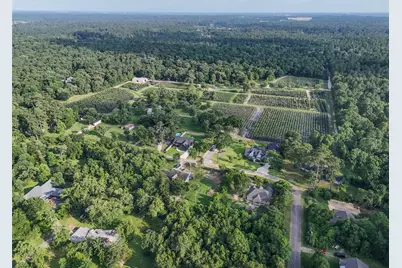 15629 Knotty Oaks Trail, Magnolia, TX 77355 - Photo 48