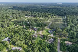 15629 Knotty Oaks Trail, Magnolia, TX 77355 - Photo 48