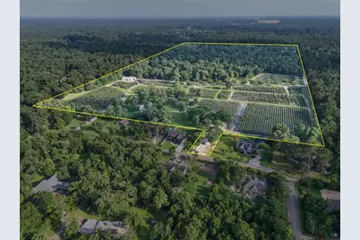 15629 Knotty Oaks Trail, Magnolia, TX 77355 - Photo 2