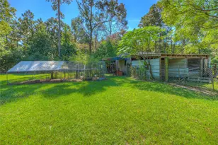 438 Bird Rd, Livingston, TX 77351 - Photo 28