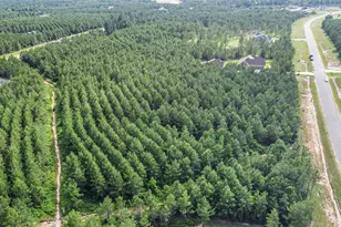 15921 Ridge Oak Rd, Willis, TX 77378 - Photo 6