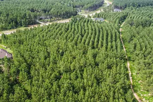 15921 Ridge Oak Rd, Willis, TX 77378 - Photo 10