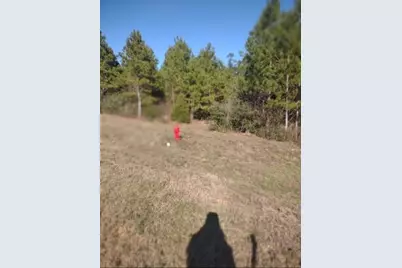 16012 Wood Grove Way, Willis, TX 77378 - Photo 2