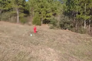 16012 Wood Grv Wy, Willis, TX 77378 - Photo 2