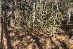 16012 Wood Grv Wy, Willis, TX 77378 - Photo 8