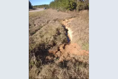 16012 Wood Grove Way, Willis, TX 77378 - Photo 14