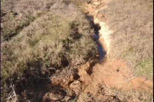 16012 Wood Grv Wy, Willis, TX 77378 - Photo 14