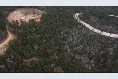 16012 Wood Grove Way, Willis, TX 77378 - Photo 24