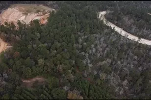 16012 Wood Grv Wy, Willis, TX 77378 - Photo 24