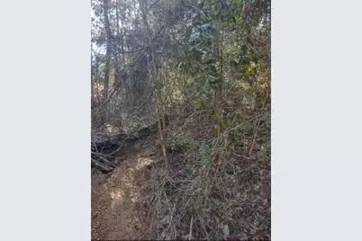 16012 Wood Grove Way, Willis, TX 77378 - Photo 12