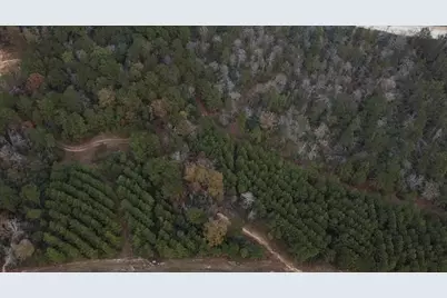 16012 Wood Grove Way, Willis, TX 77378 - Photo 22