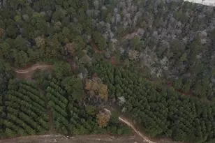 16012 Wood Grv Wy, Willis, TX 77378 - Photo 22