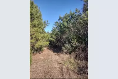 16012 Wood Grove Way, Willis, TX 77378 - Photo 6