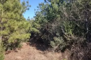 16012 Wood Grv Wy, Willis, TX 77378 - Photo 6