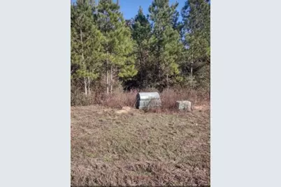 16012 Wood Grove Way, Willis, TX 77378 - Photo 4