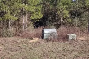 16012 Wood Grv Wy, Willis, TX 77378 - Photo 4