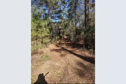 16012 Wood Grove Way, Willis, TX 77378 - Photo 10