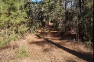 16012 Wood Grv Wy, Willis, TX 77378 - Photo 10