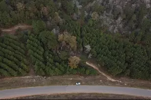 16012 Wood Grv Wy, Willis, TX 77378 - Photo 20