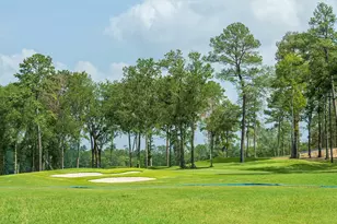 9503 Sierra Crst Ln, Porter, TX 77365 - Photo 10