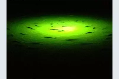 15 Half Moon, Hitchcock, TX 77563 - Photo 44