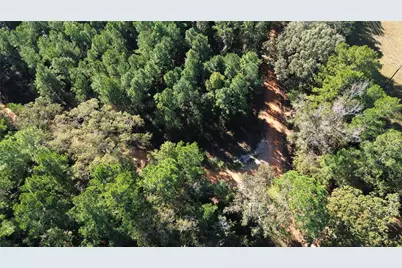 Tbd Cr 2265, Grapeland, TX 75844 - Photo 12