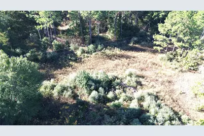 Tbd Cr 2265, Grapeland, TX 75844 - Photo 10