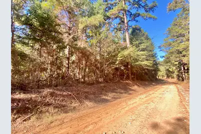 Tbd Cr 2265, Grapeland, TX 75844 - Photo 18